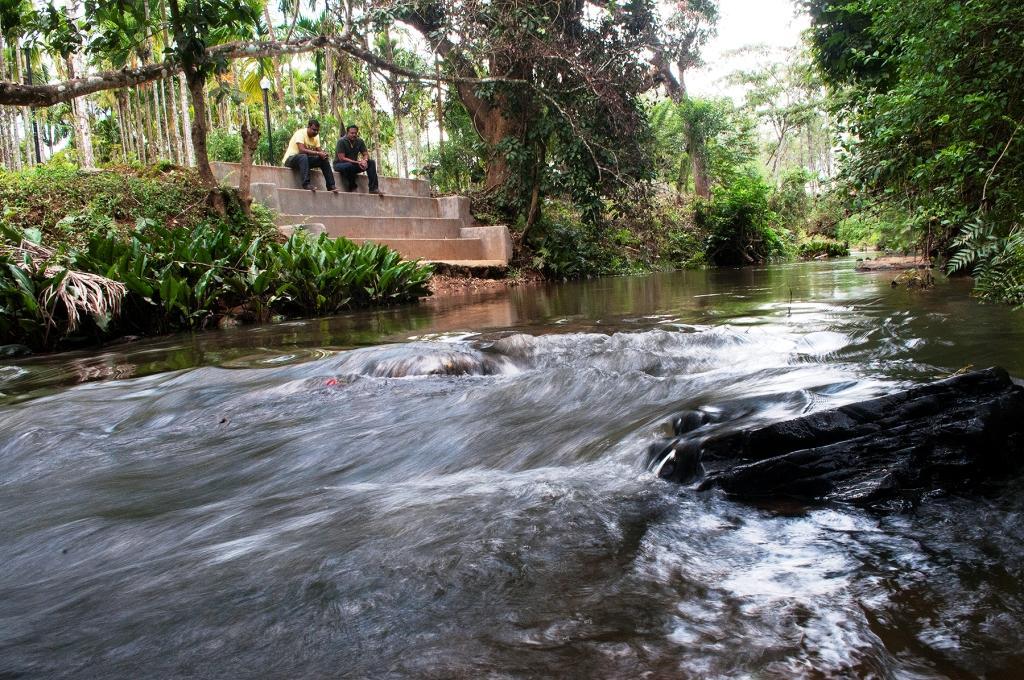 La Flora Prakruth Resort Coorg Madikeri Εξωτερικό φωτογραφία