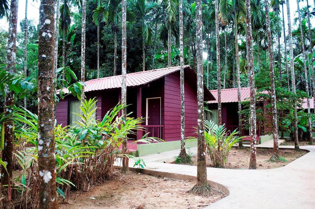 La Flora Prakruth Resort Coorg Madikeri Εξωτερικό φωτογραφία